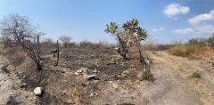 Terreno en Pueblo Viejo, Temixco.