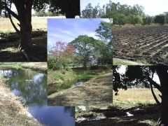 Lot en Plan de Ayala, Cuautla.